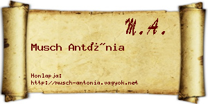 Musch Antónia névjegykártya
